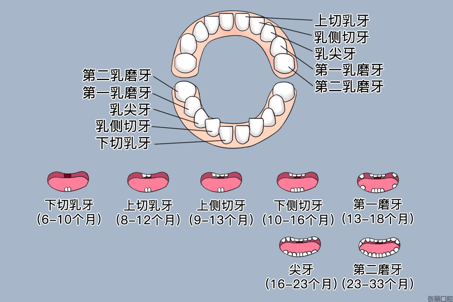 乳牙萌出期应该如何护理